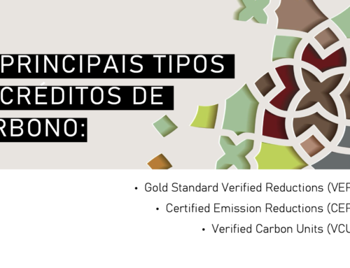 Compensação de Emissões de Carbono: Entendendo os Créditos VERs, CERs e VCUs