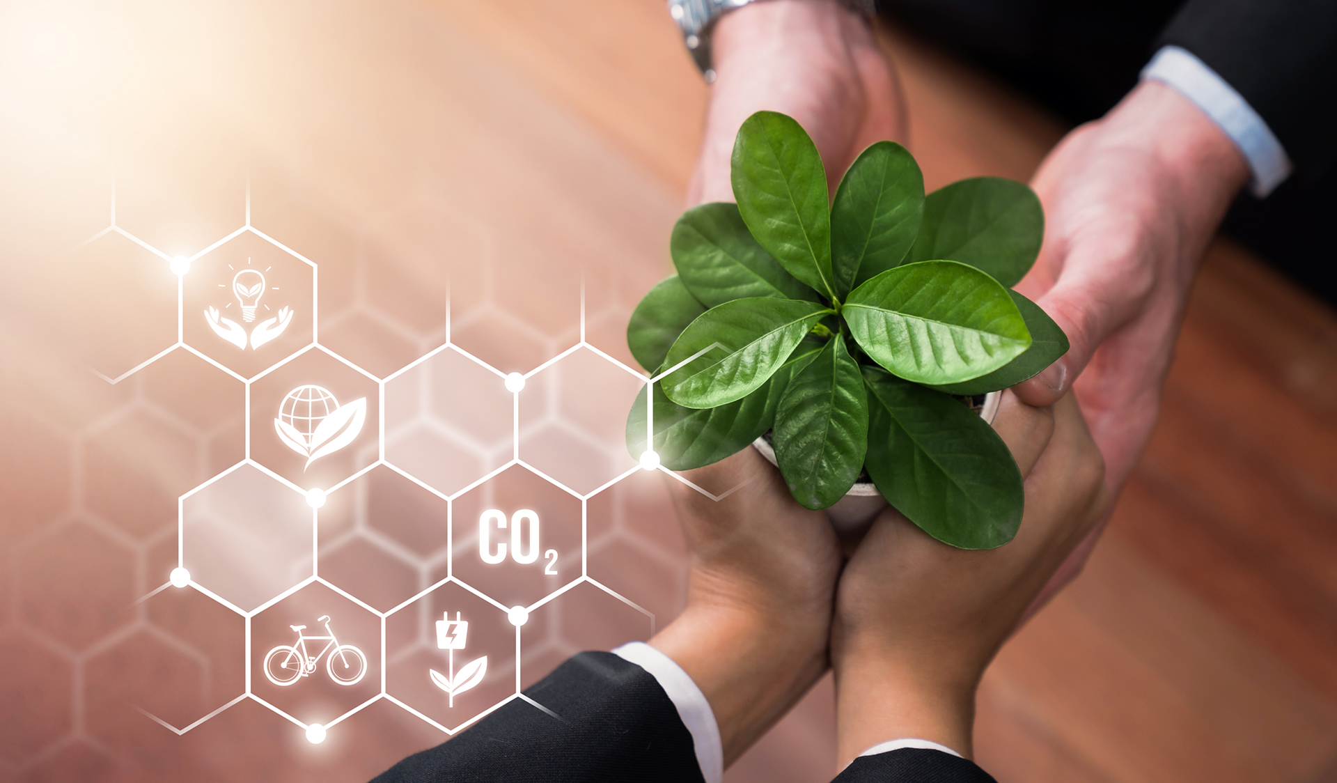 Business partnership nurturing or growing plant together. Reliance
